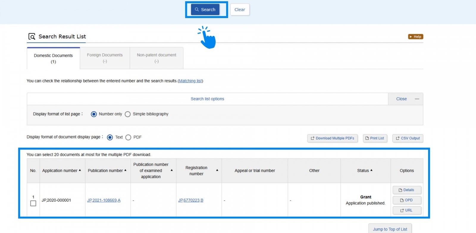日本專利查找步驟四：點選要檢視的文件清單